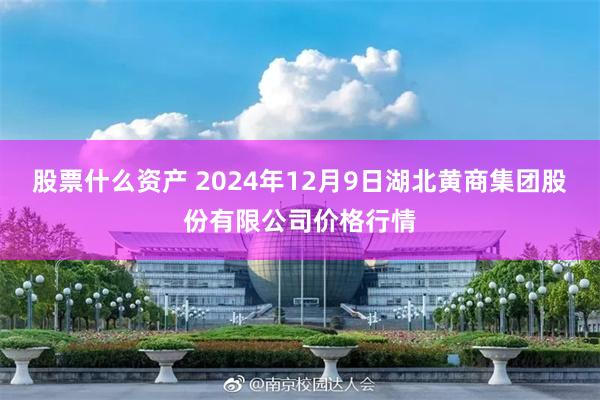 股票什么资产 2024年12月9日湖北黄商集团股份有限公司价格行情