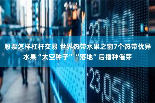 股票怎样杠杆交易 世界热带水果之窗7个热带优异水果“太空种子”“落地”后播种催芽