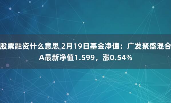 股票融资什么意思 2月19日基金净值：广发聚盛混合A最新净值1.599，涨0.54%