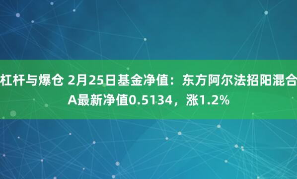 杠杆与爆仓 2月25日基金净值：东方阿尔法招阳混合A最新净值0.5134，涨1.2%