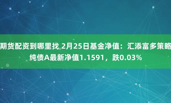 期货配资到哪里找 2月25日基金净值：汇添富多策略纯债A最新净值1.1591，跌0.03%